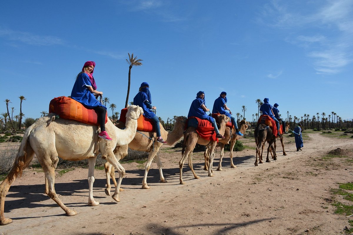 5 Days Tour From Tangier To Marrakech